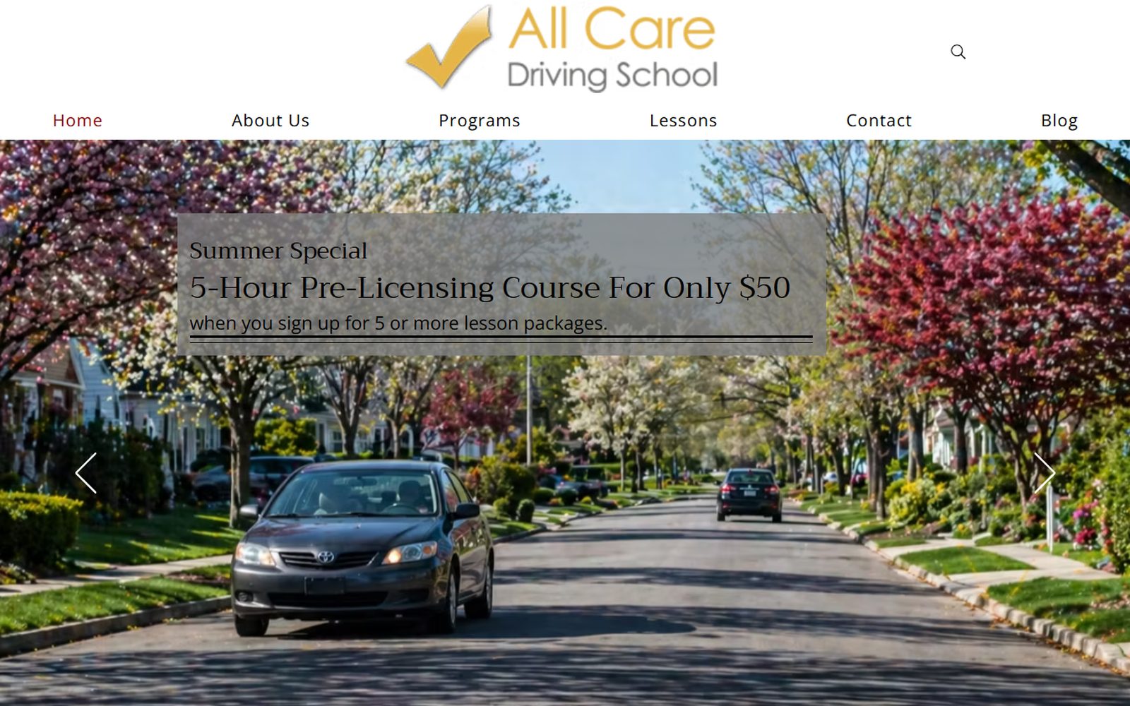 All Care Driving School website